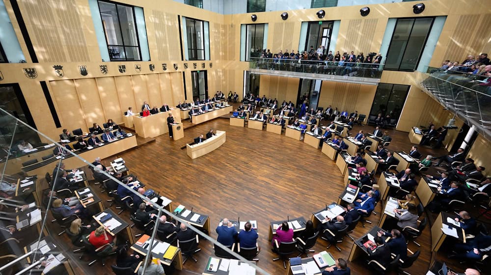 Der Bundesrat hat dem Finanzpaket von CDU, SPD und Grünen zugestimmt. / Foto: Bernd von Jutrczenka/dpa