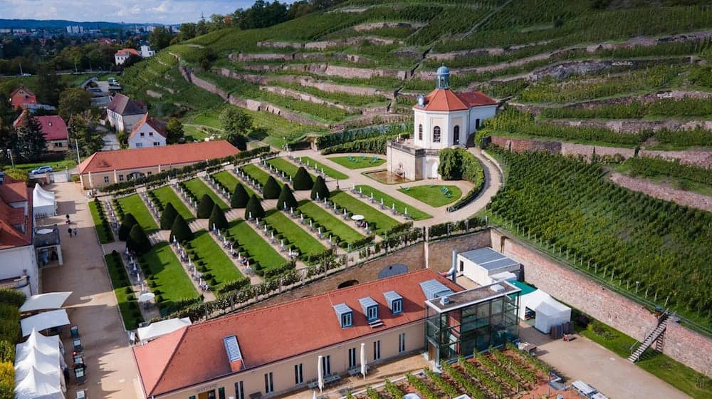 The Schloss Wackerbarth state winery in Radebeul is a Saxon state enterprise (archive photo). / Photo: Sebastian Kahnert/dpa