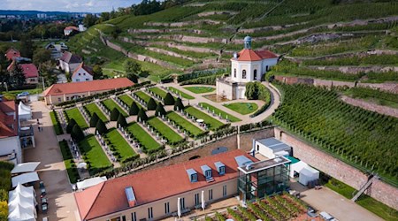 The Schloss Wackerbarth state winery in Radebeul is a Saxon state enterprise (archive photo). / Photo: Sebastian Kahnert/dpa