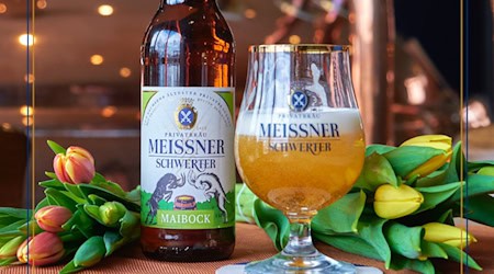 Schon im Handel: Maibock der Meissner Schwerterbrauerei. Foto: Schwerterbrauerei