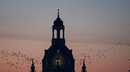 Frauenkirche Foundation initiates citizens' council for peaceful coexistence in Dresden (archive photo) / Photo: Robert Michael/dpa