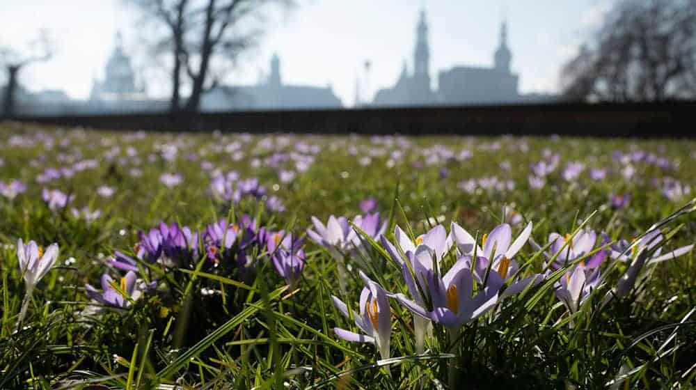 Heute klettern die Temperaturen im Freistaat auf bis zu 18 Grad. / Foto: Sebastian Kahnert/dpa