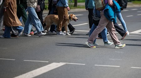 Survey: Leipzig residents mostly walk their daily routes (archive photo). / Photo: Jan Woitas/dpa