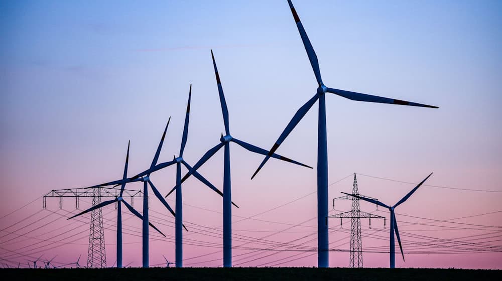 Im Landkreis Zwickau soll der neue Windpark Reinsdorf/Mülsen entstehen (Symbolbild). / Foto: Jan Woitas/dpa