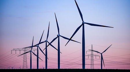 Im Landkreis Zwickau soll der neue Windpark Reinsdorf/Mülsen entstehen (Symbolbild). / Foto: Jan Woitas/dpa