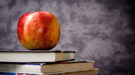 Symbolbild Bücher / pixabay jarmoluk