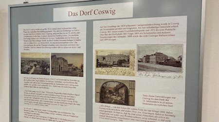 Ausstellung im Rathaus. Foto: Stadt Coswig