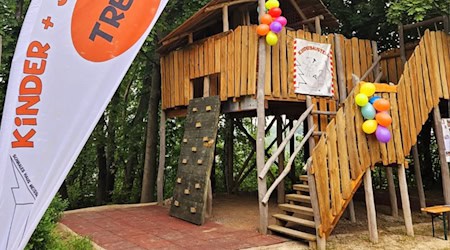 Das neue Baum-Spielhaus in Meißen. Foto: Stadtverwaltung