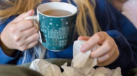 Die Behörden sprachen von einer «stark ausgeprägten Influenza-Welle», die Anfang bis Mitte Februar ihren Höhepunkt erreichte. (Symbolbild)  / Foto: Alicia Windzio/dpa