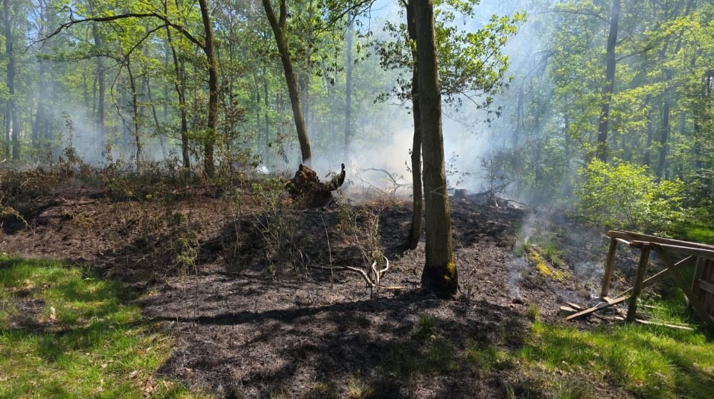 Der Waldbrand im Spitzgrund Coswig konnte schnell unter Kontrolle gebracht werden. Foto: Feuerwehr Coswig