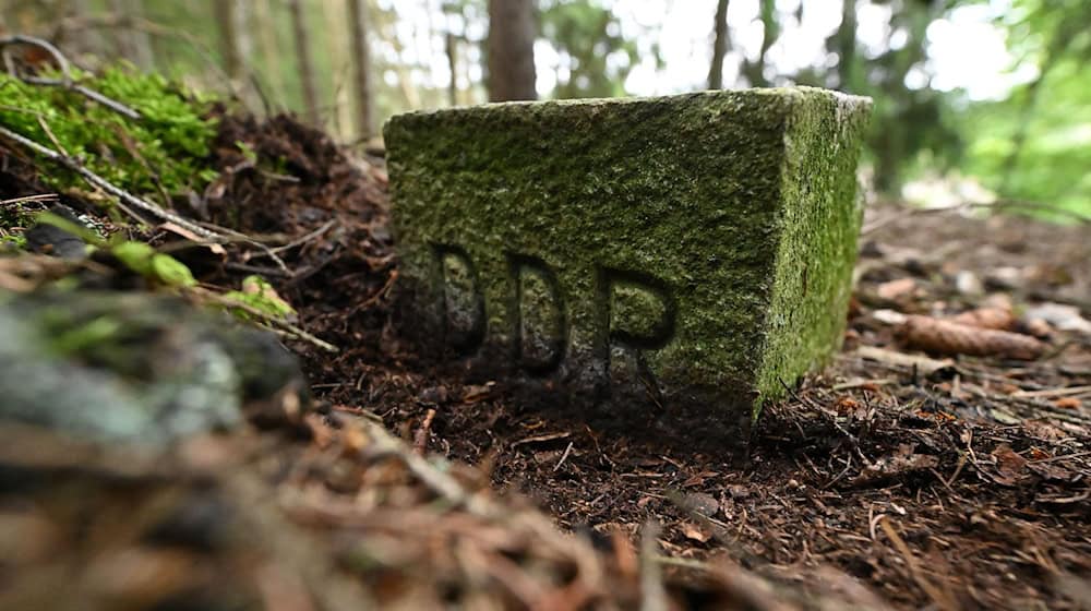 Die frühere deutsch-deutsche Grenze gilt inzwischen als ein Rückzugsort für Tiere und Pflanzen. (Archivbild) / Foto: Martin Schutt/dpa