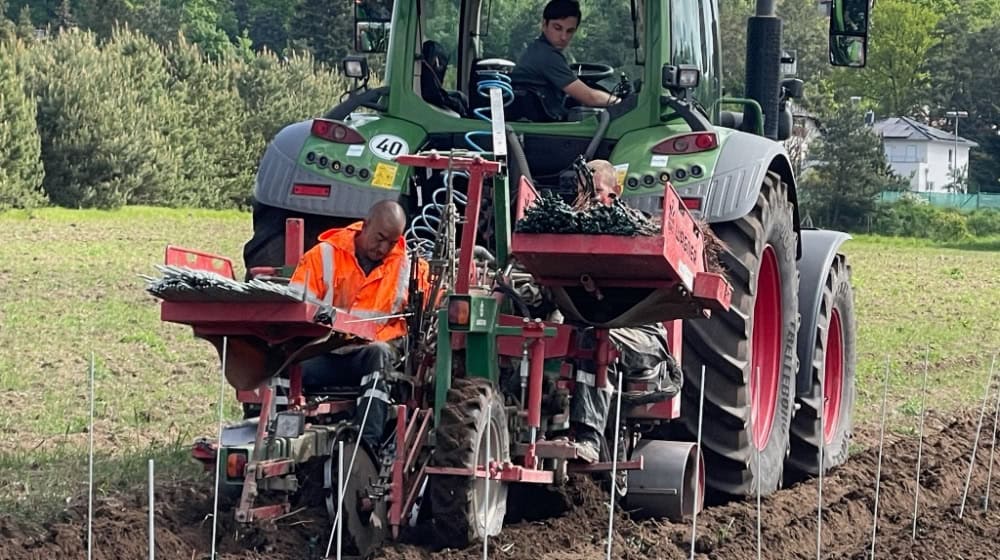 Eine GPS-gesteuerte Pflanzmaschine übernimmt das Setzen der Reben. Foto: Mallek 