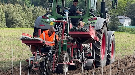 Eine GPS-gesteuerte Pflanzmaschine übernimmt das Setzen der Reben. Foto: Mallek 