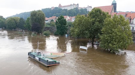 The motto of the Pirna Sculpture Summer 2025 is Resonance. (Archive image) / Photo: Sebastian Kahnert/dpa