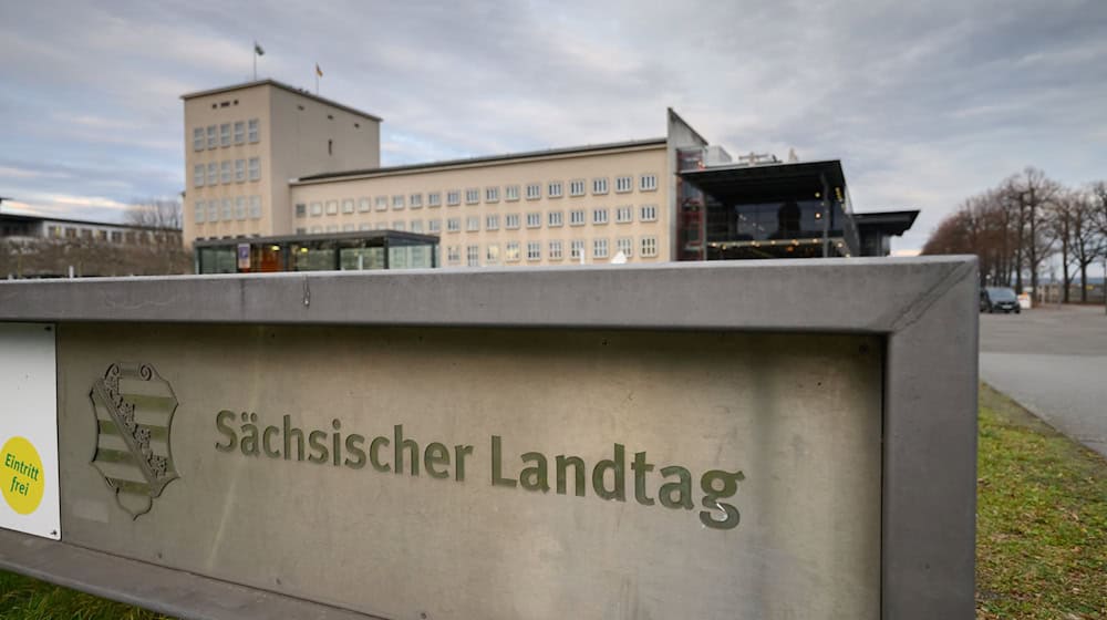 Die Linken wollen eine dreistellige Zahl von Änderungsanträgen zum Haushalt einbringen (Archivbild). / Foto: Robert Michael/dpa