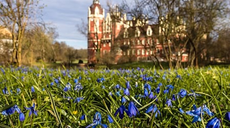 Der Muskauer Fürst-Pückler-Park ist Unesco-Weltkulturerbe und neben dem Cottbuser Park der zweite von Hermann Fürst von Pückler-Muskau (1785-1871) gestaltete Landschaftspark in der Region.  / Foto: Frank Hammerschmidt/dpa