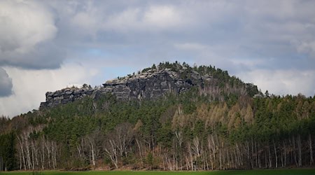 Wolken, Regen und frische Temperaturen versetzen dem Frühling im Freistaat einen Dämpfer. (Archivbild) / Foto: Robert Michael/dpa