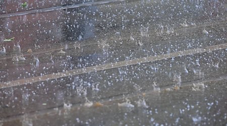 Starkregen und Gewitter sind in Sachsen möglich. (Symbolfoto) / Foto: Sebastian Gollnow/dpa