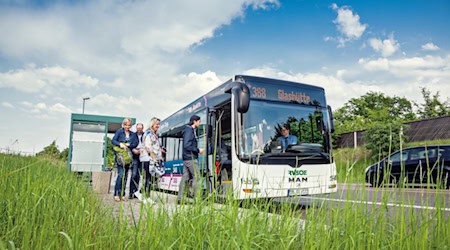Die Regionalbusse fahren auch in den Ferien. Foto: Lars Neumann
