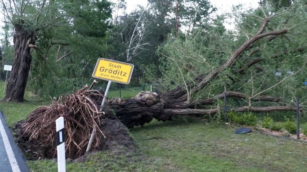 Rund 500 Bäume gingen. bei dem Unwetter verloren. Fotos: Feuerwehr 