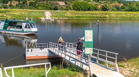 Noch fährt sie: Die Fähre zwischen Diesbar-Seußlitz und Niederlommatzsch. Foto: VGM