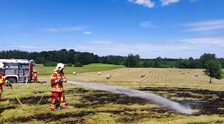 Die brennende Wiese in Moritzburg. Foto: Feuerwehr 