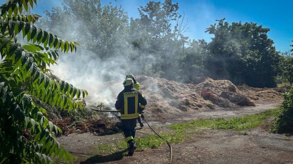 Grasbrand an der Magdeburger Straße in Riesa. Foto: Feuerwehr 