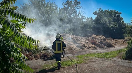 Grasbrand an der Magdeburger Straße in Riesa. Foto: Feuerwehr 