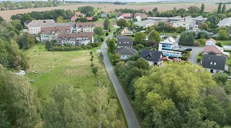 Der Fund eines toten Joggers in Klipphausen führt zu einem Mordprozess gegen seine Ehefrau in Dresden. (Archivbild)  / Foto: Sebastian Kahnert/dpa