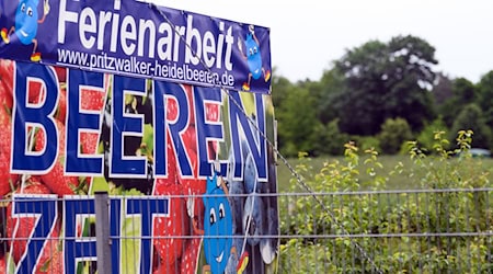 Ferienjobs: Für Schüler und Unternehmen eine Chance. (Archivbild) / Foto: Soeren Stache/dpa-Zentralbild/dpa