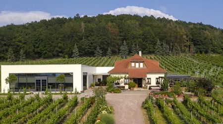 Das Weingut Matyas in Coswig mitten im Weinberg, im Sommer ist dort die Besenwirtschaft geöffnet. Foto: Weingut Matyas