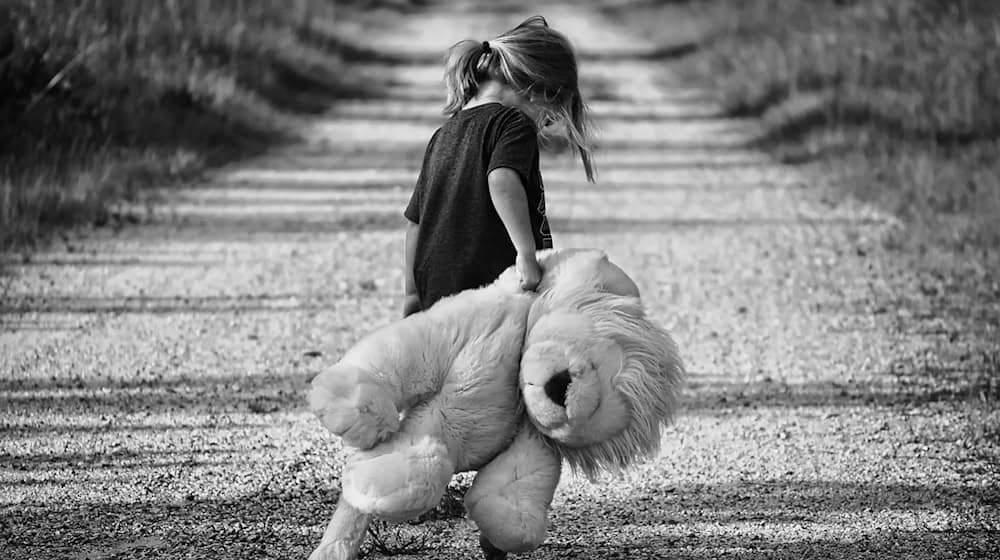Symbolbild Teddybär / pixabay Greyerbaby