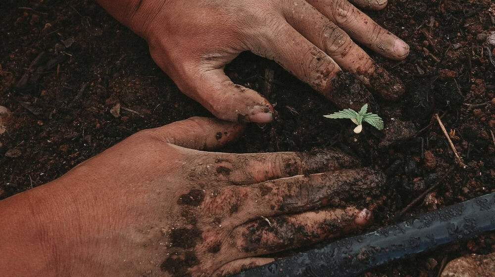 Foto von GreenForce Staffing auf Unsplash.com