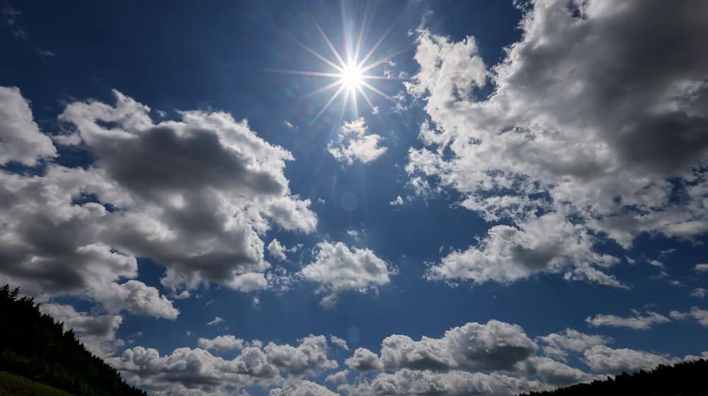 Die neue Woche bringt im Freistaat Temperaturen von bis zu 38 Grad. (Archivfoto) / Foto: Jan Woitas/dpa
