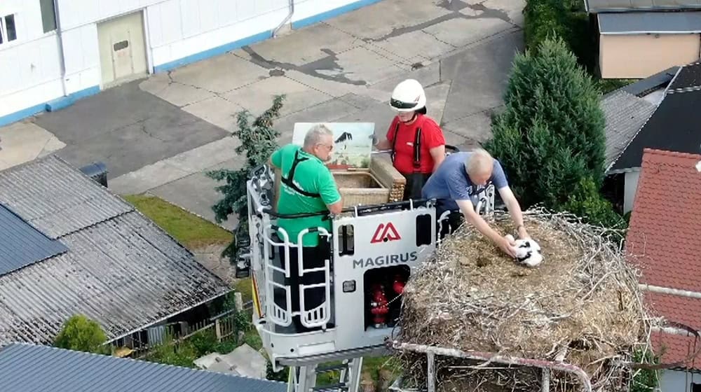 Die Feuerwehr rückt an, um Jungstörche zu beringen / Foto: Tobias Junghannß/dpa