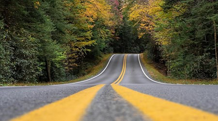 Symbolbild Autobahn / pixabay jatocreate