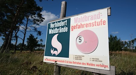 In Teilen Sachsens wird am Wochenende voraussichtlich Waldbrandgefahrenstufe fünf erreicht. (Archivbild) / Foto: Sebastian Willnow/dpa