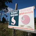 In Teilen Sachsens wird am Wochenende voraussichtlich Waldbrandgefahrenstufe fünf erreicht. (Archivbild) / Foto: Sebastian Willnow/dpa