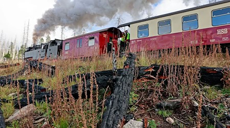 Las locomotoras de vapor son la atracción del ferrocarril de vía estrecha del Harz. (Foto de archivo) / Foto: Matthias Bein/dpa
