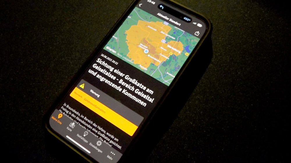 El lunes por la noche, el distrito de Saale alertó a la población tras el avistamiento de un gran felino / Foto: NEWS5/dpa