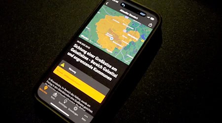On Monday evening, the Saale district warned the population after the sighting of a big cat / Photo: NEWS5/dpa