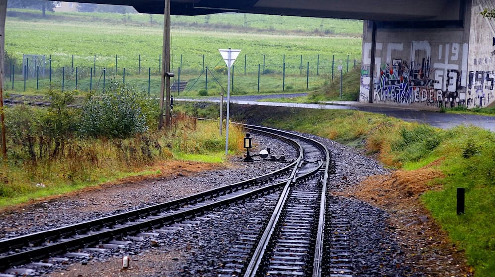 Symbolbild Schmalspurbahn / pixabay kurtdeiner