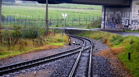 Symbolbild Schmalspurbahn / pixabay kurtdeiner