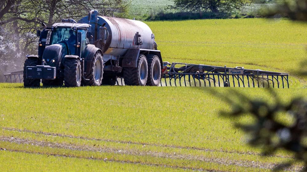 Ursache für erhöhte Nitratwerte im Grundwasser ist oft Gülle. (Archivbild) / Foto: Jens Büttner/dpa