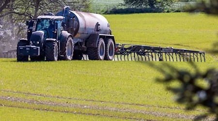 Ursache für erhöhte Nitratwerte im Grundwasser ist oft Gülle. (Archivbild) / Foto: Jens Büttner/dpa