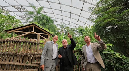 Está previsto que la modernización del zoo finalice en 2028.  / Foto: Jan Woitas/dpa