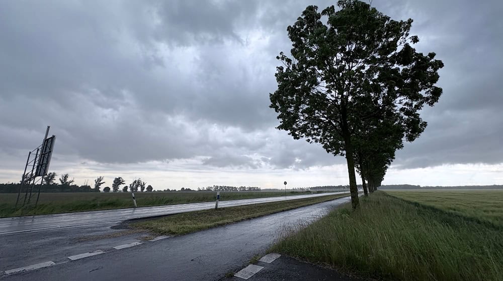 In den südöstlichen Bundesländern werden Gewitter und ungewöhnlich starker Wind erwartet (Symbolfoto) / Foto: Christian Grube/NEWS5/dpa