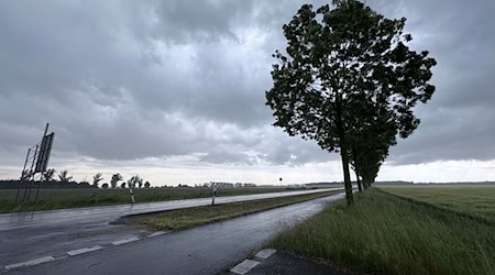 In den südöstlichen Bundesländern werden Gewitter und ungewöhnlich starker Wind erwartet (Symbolfoto) / Foto: Christian Grube/NEWS5/dpa