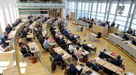 Bei der Landtagswahl im kommenden Jahr in Sachsen-Anhalt könnte die Regierungsbildung schwierig werden. (Archivbild) / Foto: Peter Gercke/dpa-Zentralbild/dpa