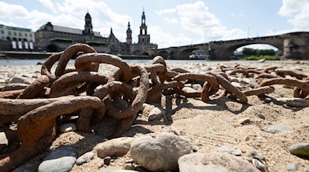 Im Vergleich zum Referenzwert fiel im Juni ein Drittel weniger Regen in Sachsen. (Archivbild) / Foto: Sebastian Kahnert/dpa